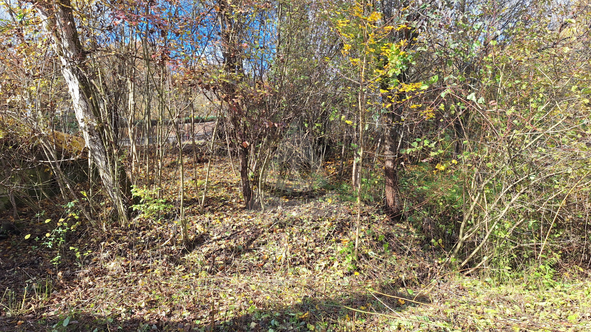 Drevenica s potenciálom výstavby RD ,Kotešová