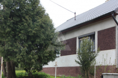 House for sale, Pružina