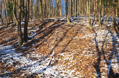 Pozemok na predaj, Považská Bystrica